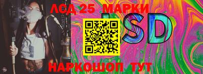 apvp Кандалакша
