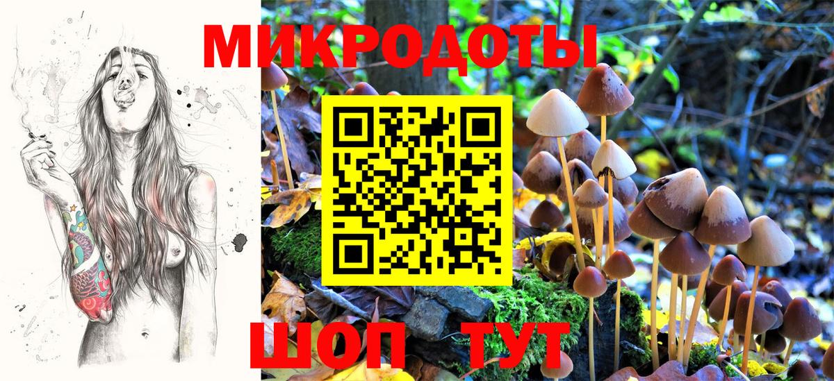 Псилоцибиновые грибы Magic Shrooms  Галлюциногенные грибы Cubensis  Фролово  Вход с VPN 